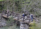 Johan, Eef, Wouter, Lex en Kees   A.Bender : SPANJE 2012 60D
